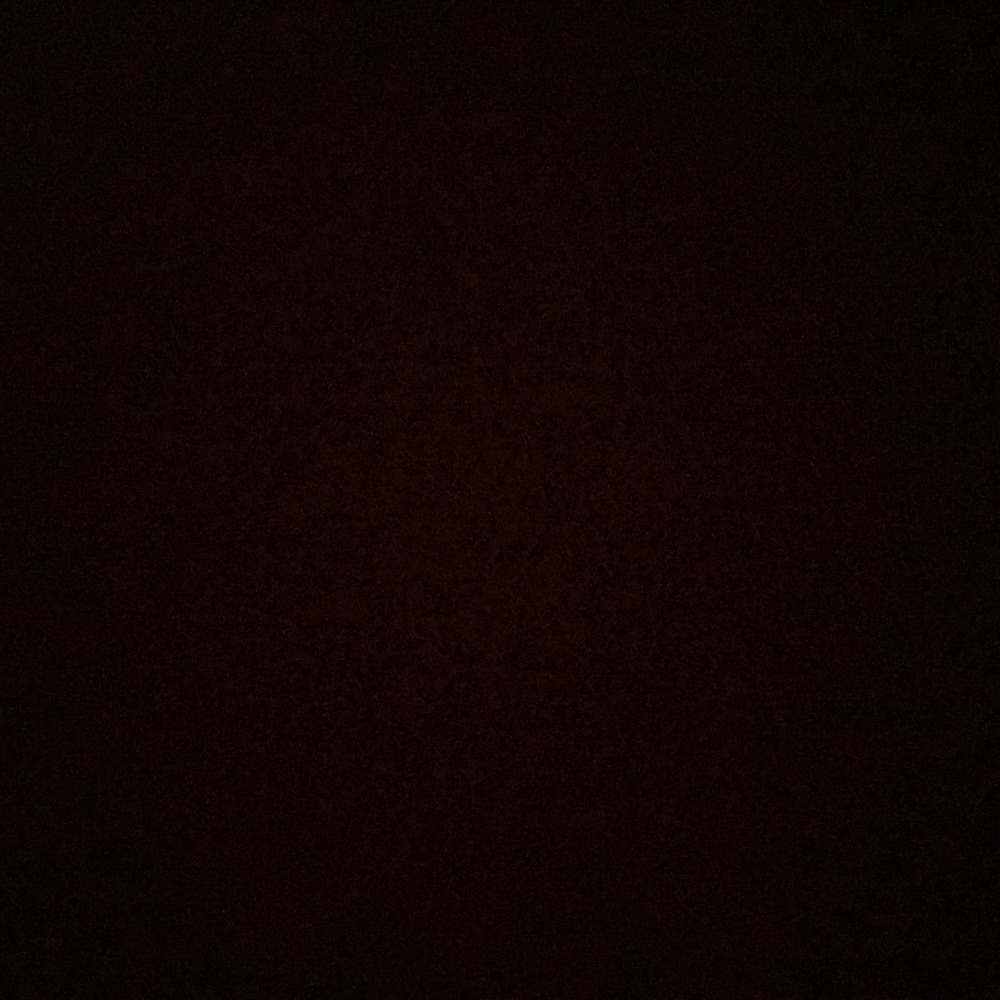 Meet your Posher, Shane